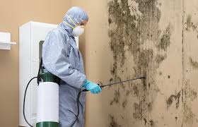 Best Industrial Mold Remediation  in USA